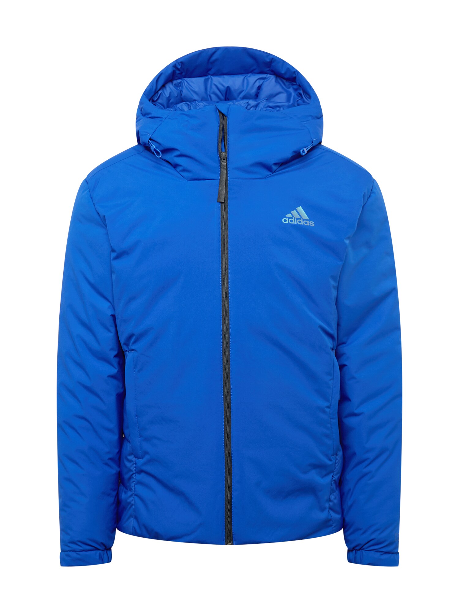 ADIDAS PERFORMANCE Kültéri kabátok 'Traveer'  fekete / kék