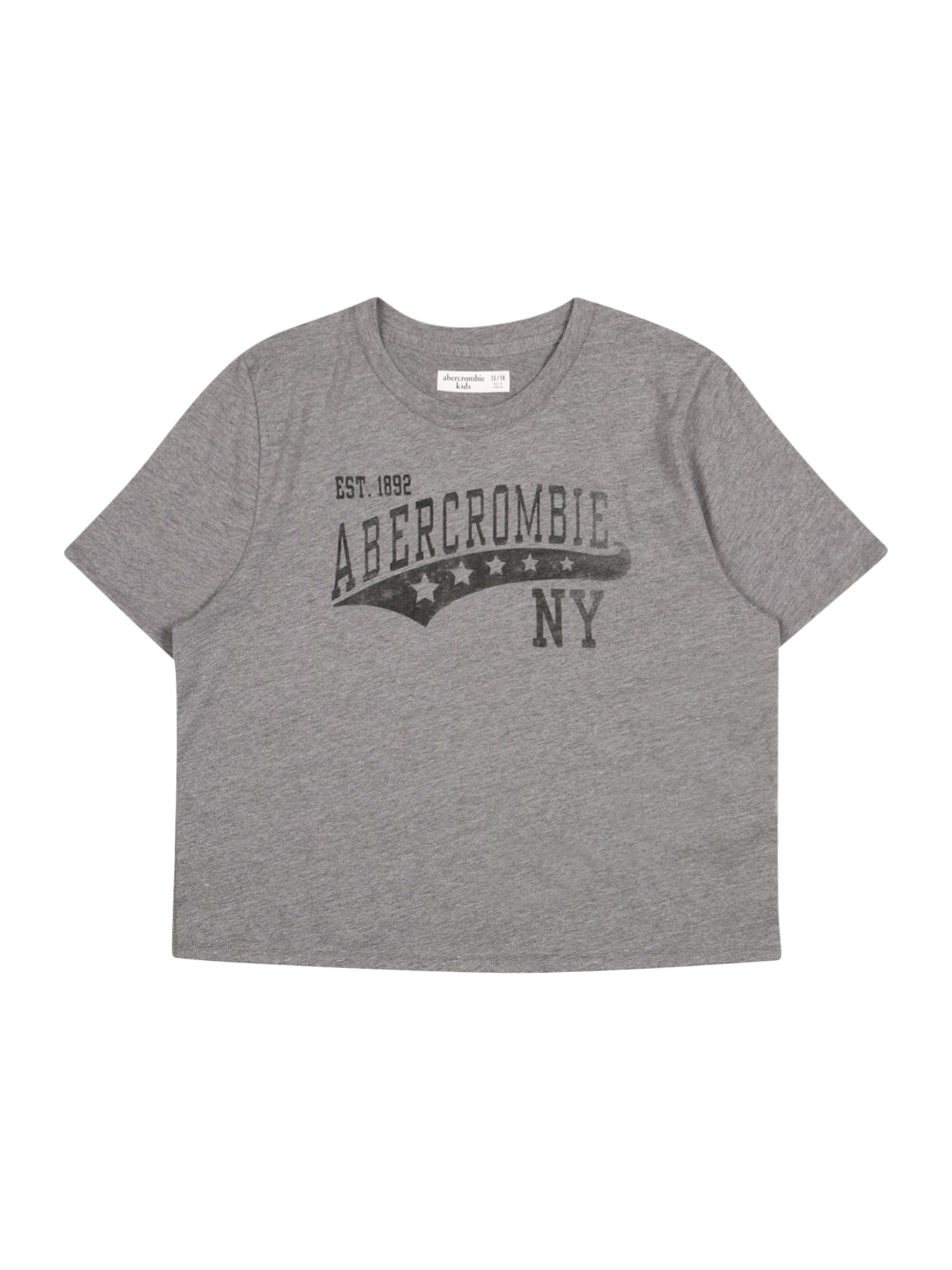 Abercrombie & Fitch Póló  szürke melír / fekete