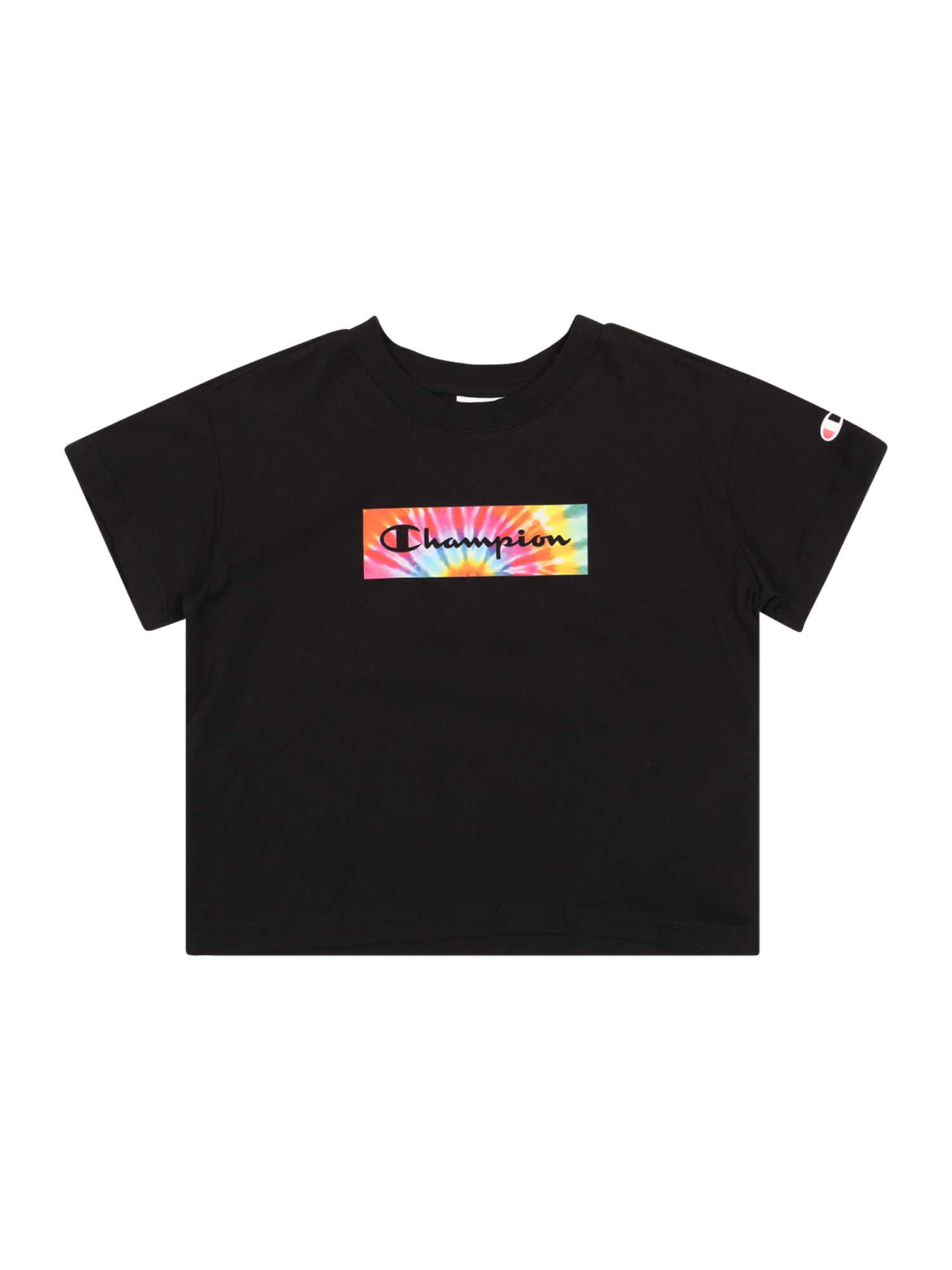 Champion Authentic Athletic Apparel Póló  fekete / vegyes színek