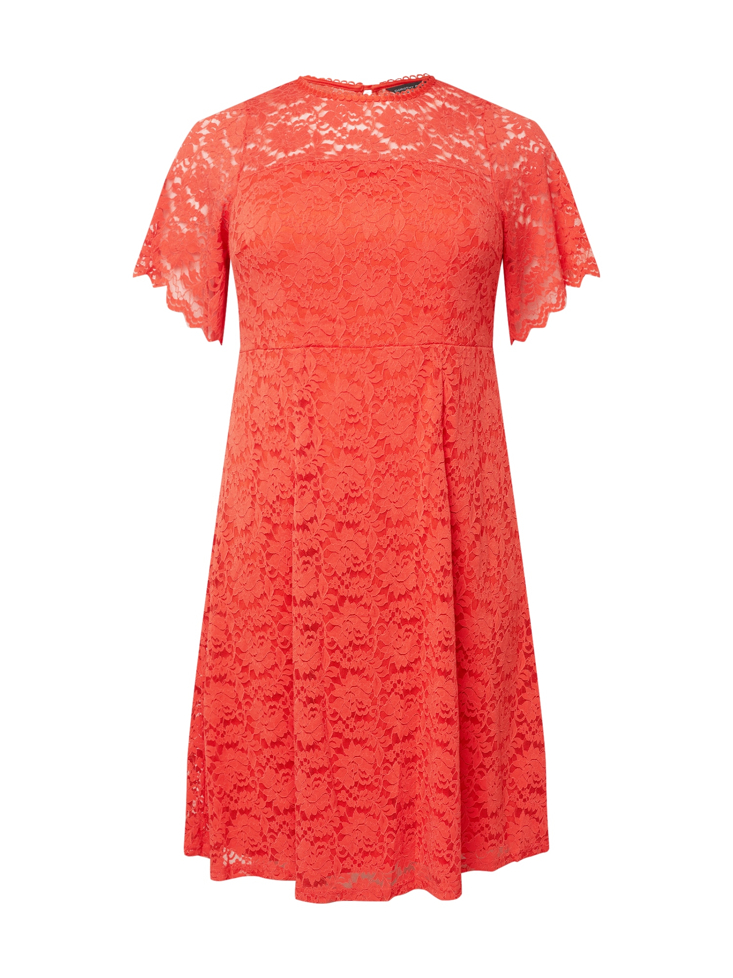 Dorothy Perkins Curve Ruha  korál