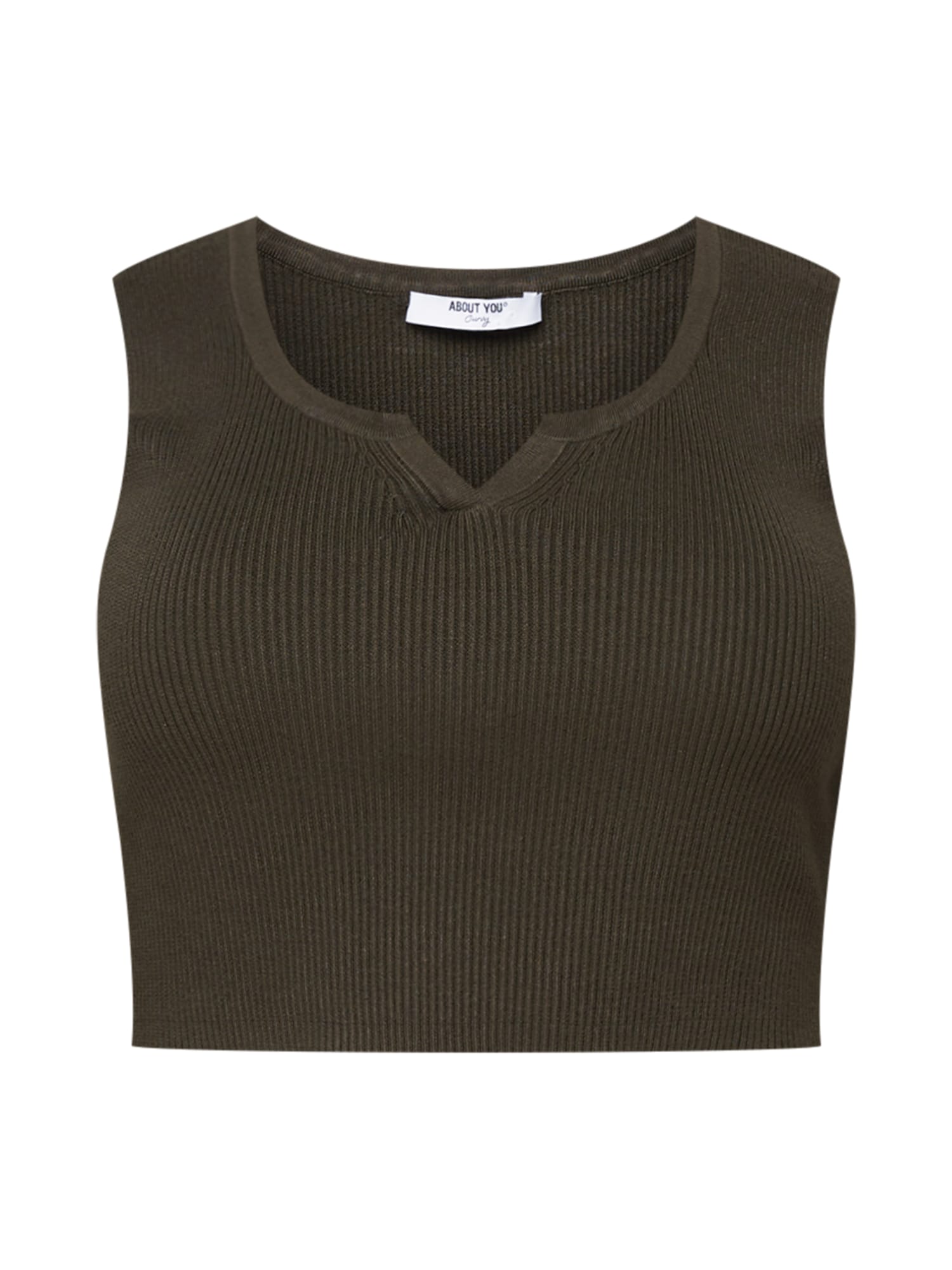 ABOUT YOU Curvy Stick felső 'Line'  khaki