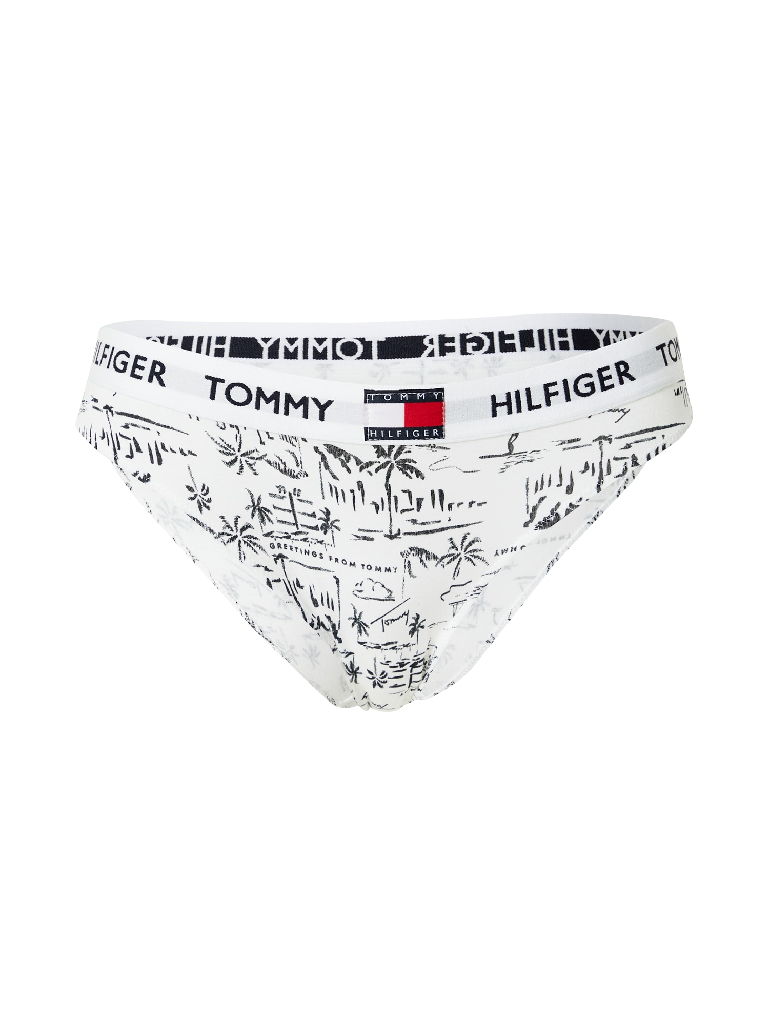 Tommy Hilfiger Underwear Slip  fehér / fekete / piros / tengerészkék