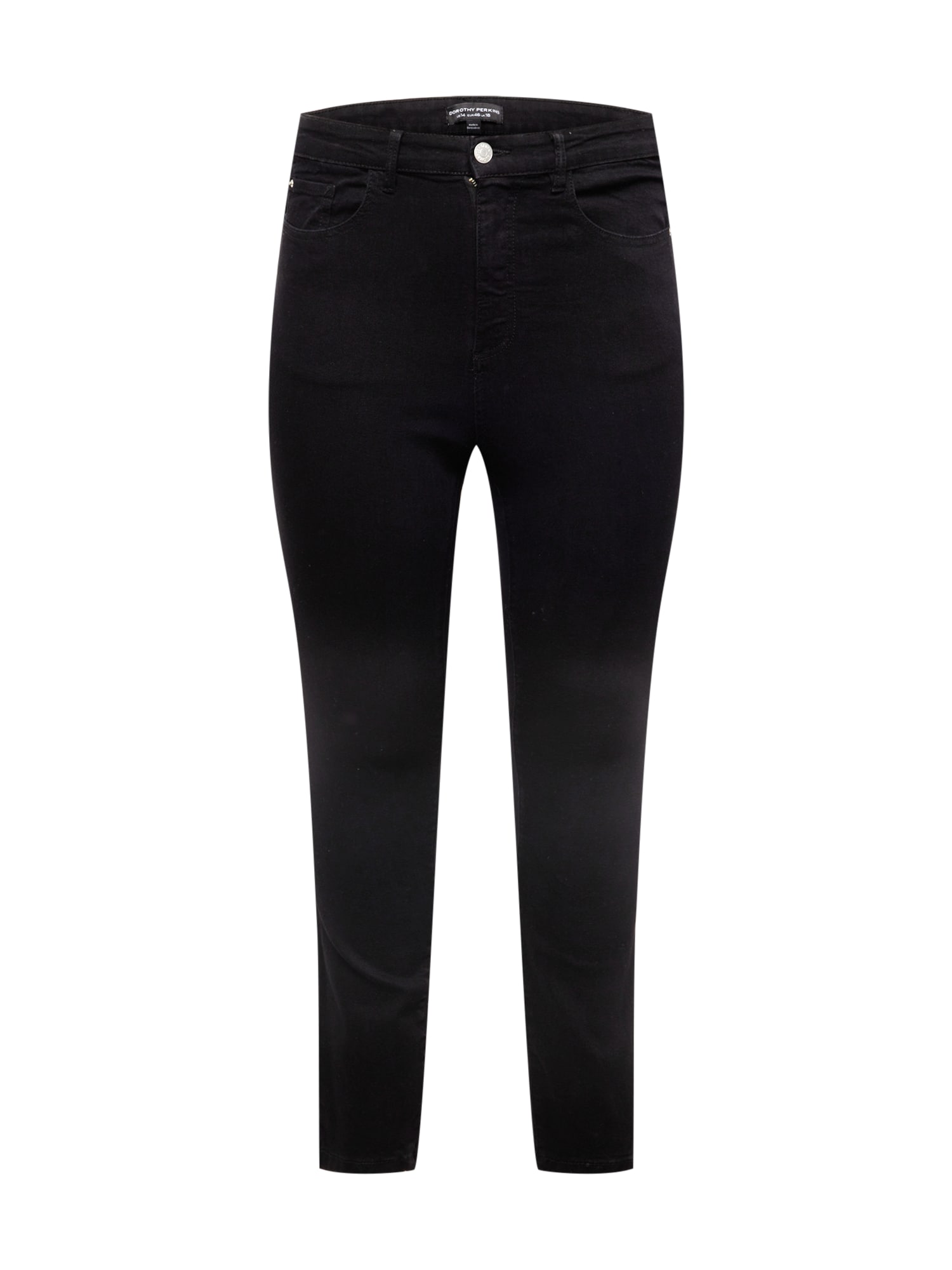 Dorothy Perkins Curve Farmer 'Alex'  fekete farmer