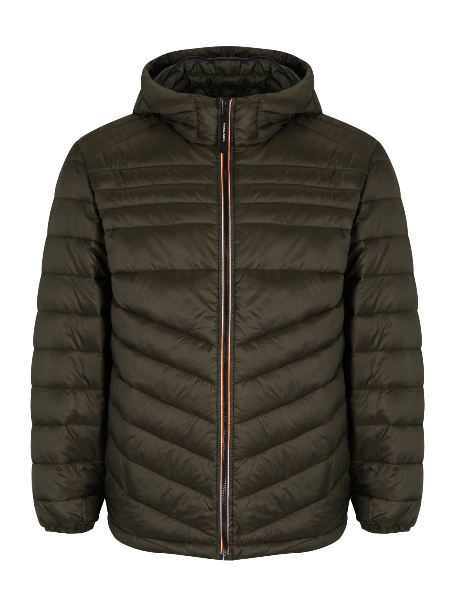 Jack & Jones Plus Átmeneti dzseki  zöld