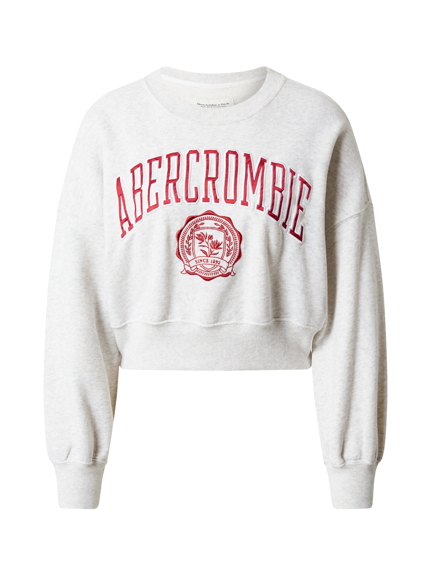 Abercrombie & Fitch Tréning póló  világosszürke / piros