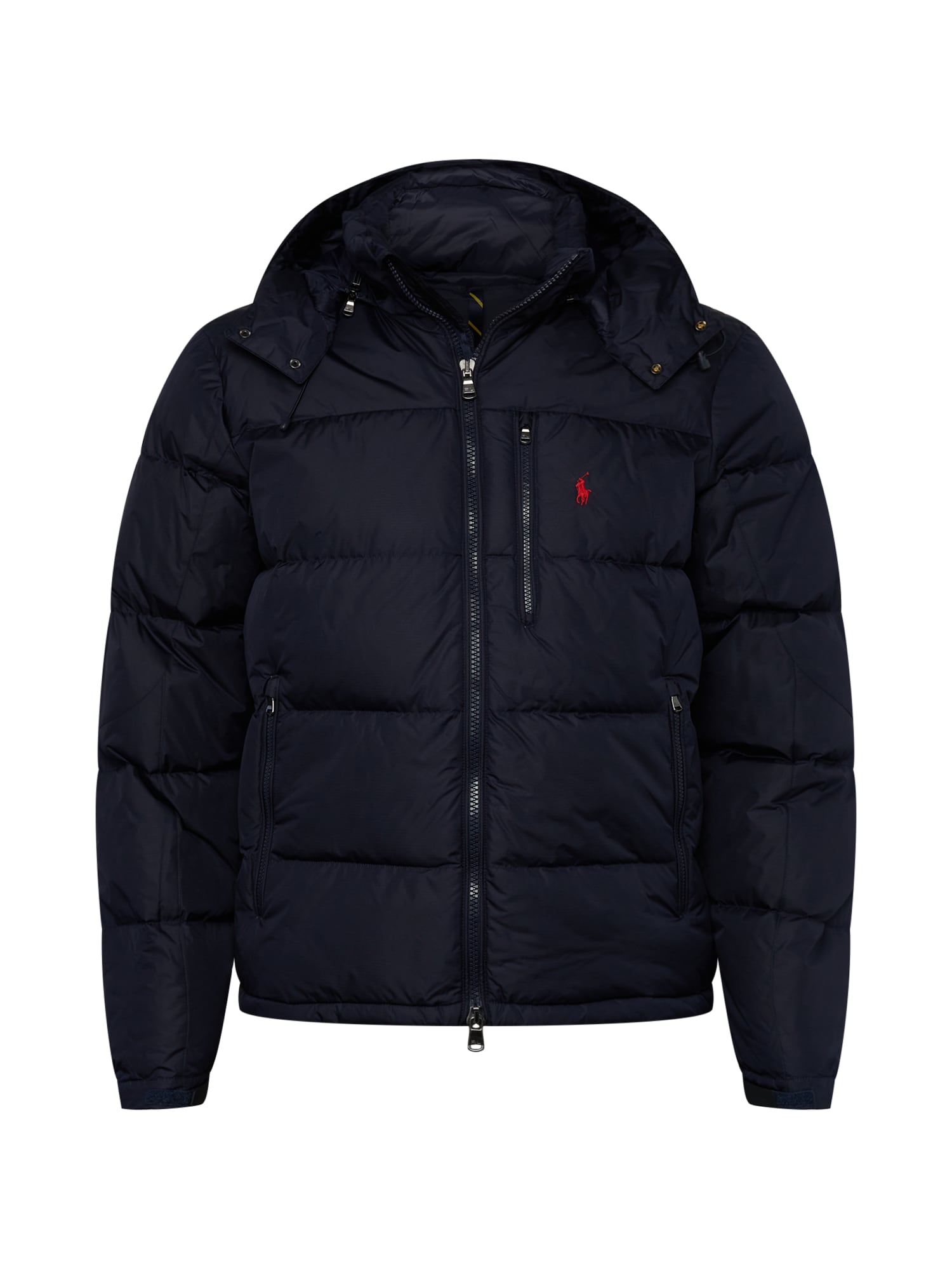 Polo Ralph Lauren Big & Tall Téli dzseki  tengerészkék / neonpiros