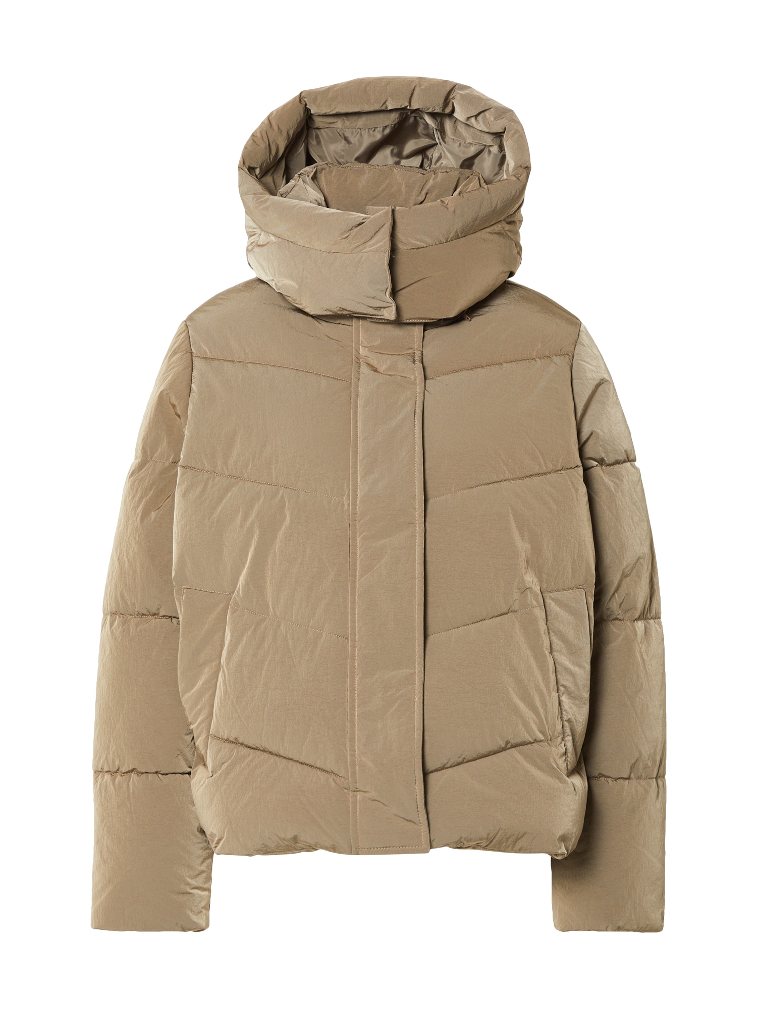 Calvin Klein Téli dzseki  khaki