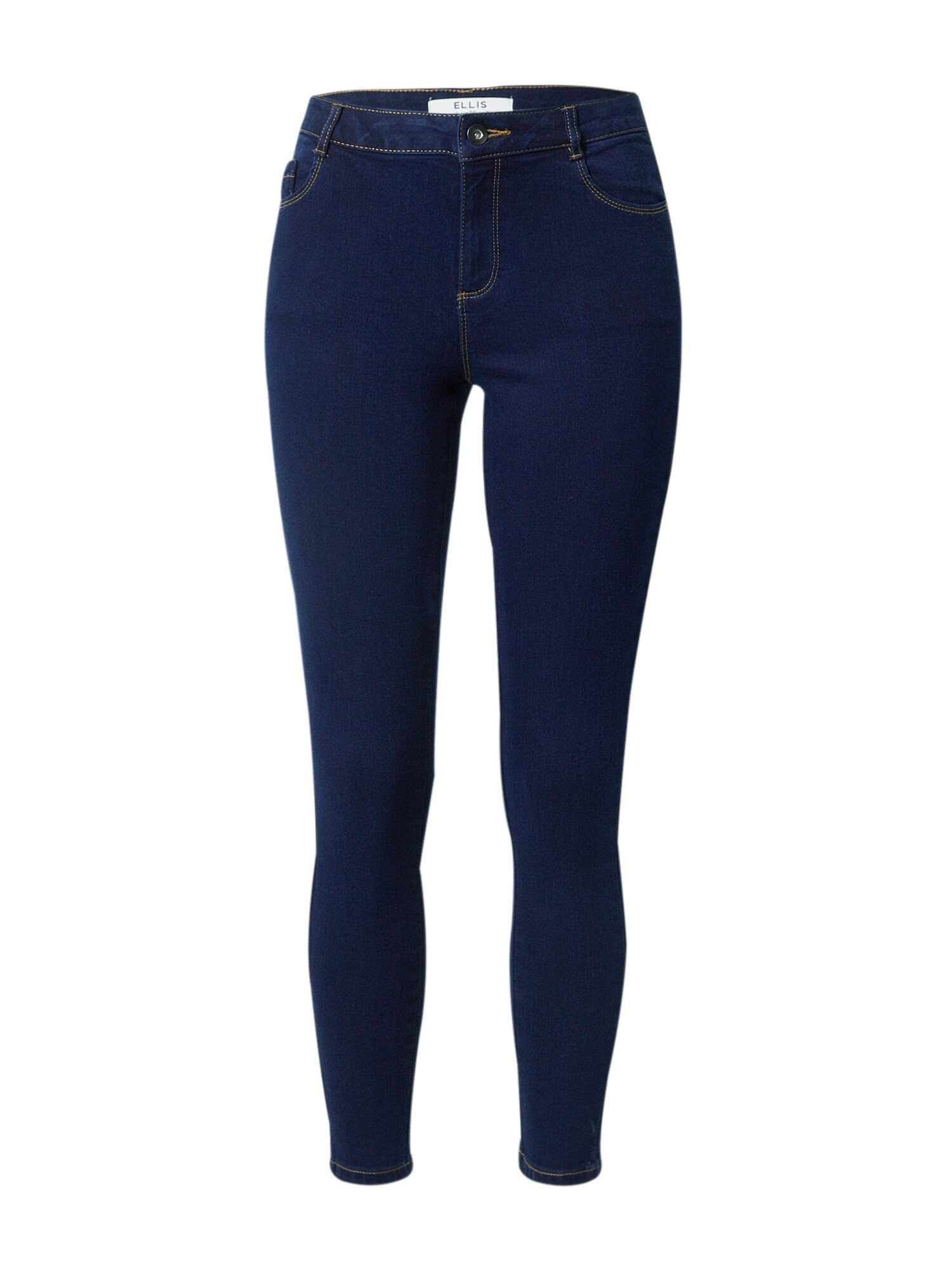 Dorothy Perkins Farmer 'Ellis'  sötétkék