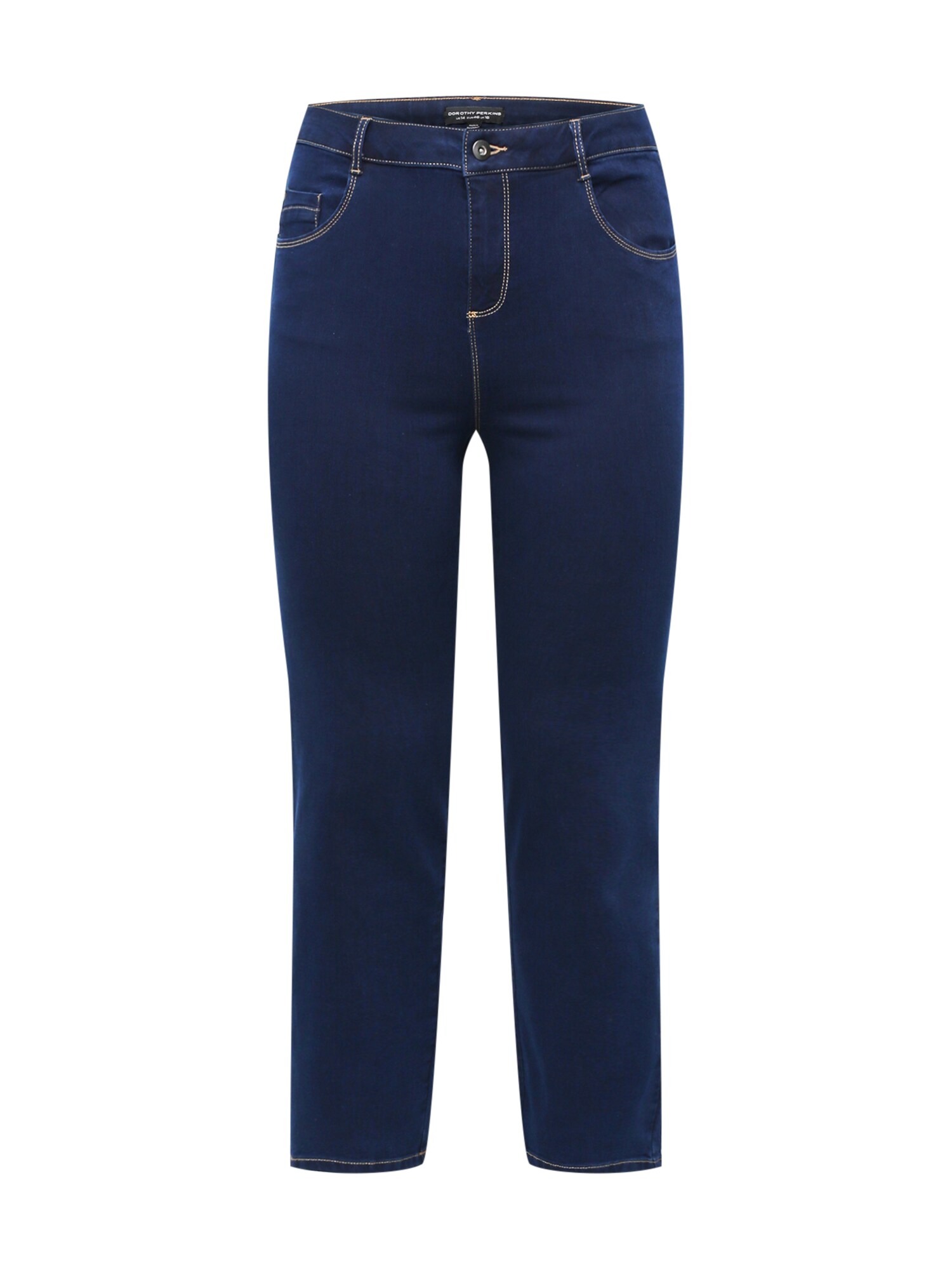 Dorothy Perkins Curve Farmer 'Ellis'  indigó